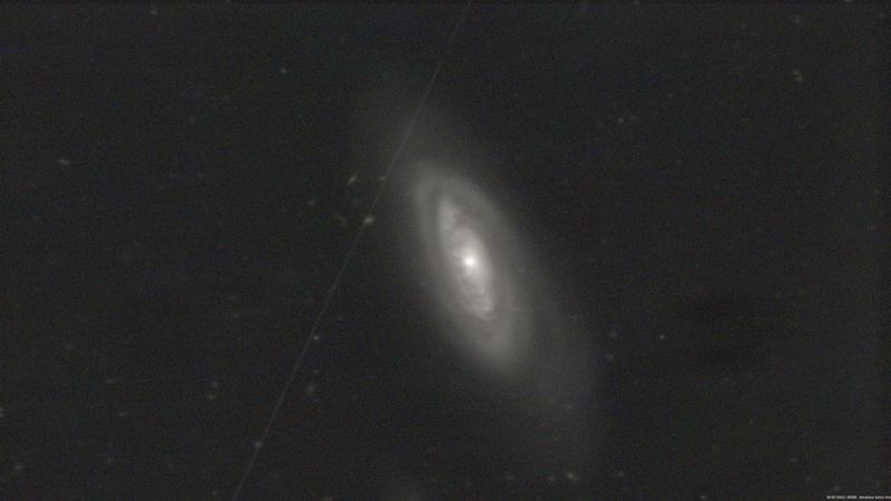 M 90 (NGC 4569) - 2025-05-1521:45:00